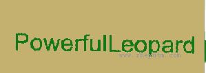 POWERFUILEOPARD