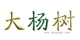 大杨树