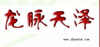 龙脉天泽