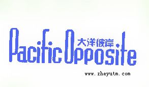 大洋彼岸