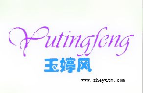 玉婷风