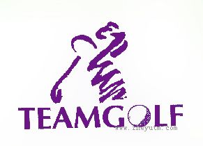 TEAMGOLF