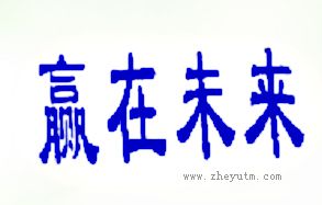 赢在未来