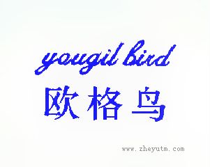 欧格鸟