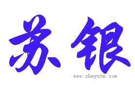 苏银
