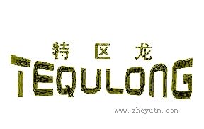 特区龙