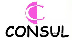 CONSUL
