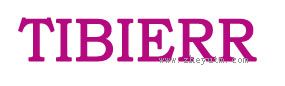 TIBIERR
