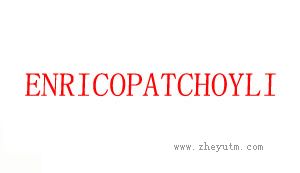 ENRICOPATCHOYLI