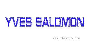 YVES SALOMON