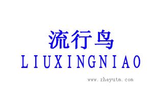 流行鸟