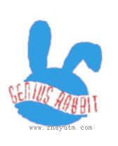 GENIUS RABBIT