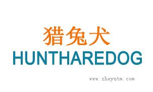 猎兔犬