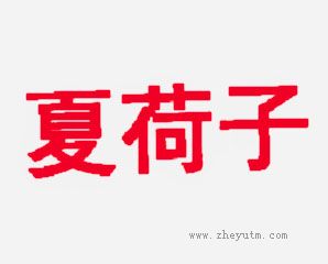 夏荷子