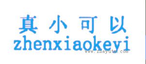真小可以