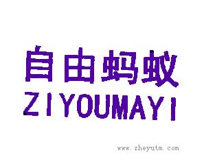 自由蚂蚁