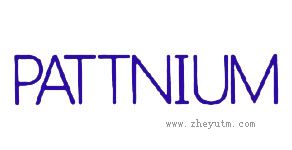 PATTNIUM