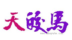 天皎马
