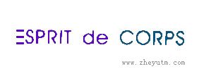 ESPRIT DE CORPS