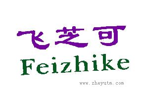 飞芝可