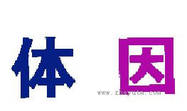 体因