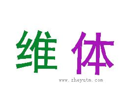 维体