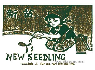 新苗