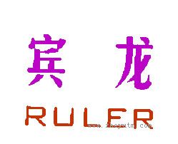 宾龙