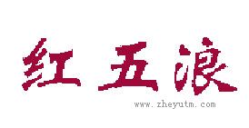 红五浪
