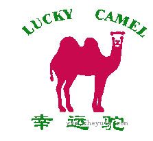 幸运驼