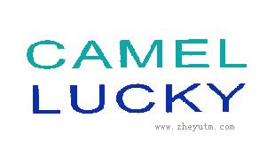 CAMEL LUCKY