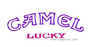 CAMEL LUCKY