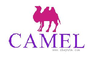 CAMEL