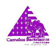 CAMELUS BACTRLANUS
