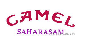 camel saharasam