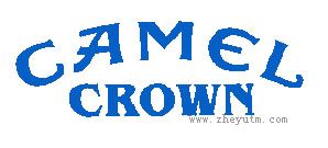 CAMEL CROWN