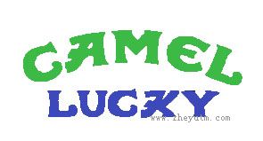 CAMEL LUCKY