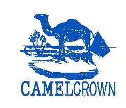 CAMELCROWN