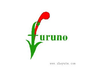 FURUNO