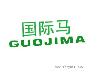 国际马