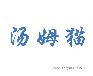 汤姆猫