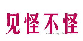 见怪不怪