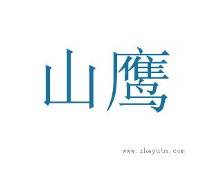 山鹰