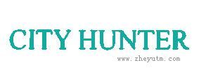 CITY HUNTER