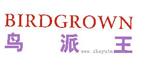鸟派王