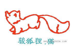 骏狐狸猫