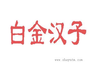 白金汉子