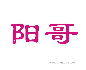 阳哥