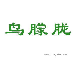 鸟朦胧