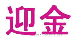 迎金